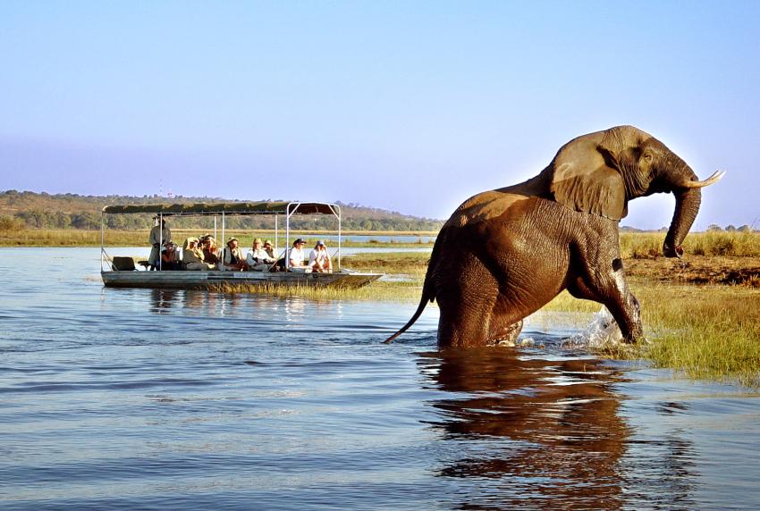 Optional Excursion: Safari in Chobe, Botswana 